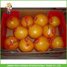 Factory Price Sweet Fresh Pomelo For Russia